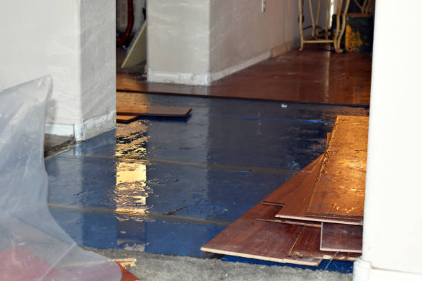 Professional Sewage Cleanup technician working in Eddington, ME